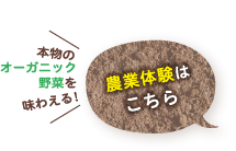 農業体験はこちら