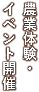 農業体験・イベント開催