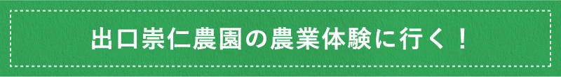 出口崇仁農園の農業体験に行く！